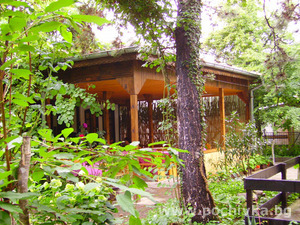 House Vanya