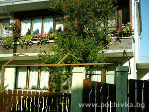 Family hotel Davy