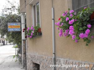 House  Pamela, Chiflik, Troyan