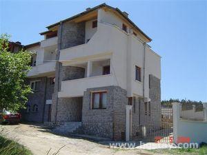 House Pelax