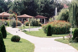 Hotel YAEV