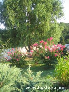 Family hotel vila Zelenika