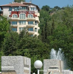 Family hotel Avis
