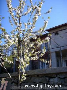 Family hotel Indjoves\'s