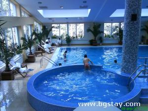 Hotel Hotel Borova gora