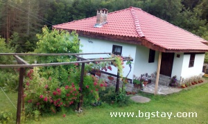 House Nozheri house