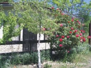House villas Mariana