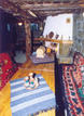 House Diadovata Kushta