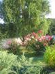 Family hotel vila Zelenika