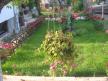 House Avangard