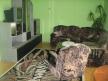 House House for rent