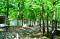 Hotel -------- Primorsko 6