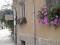 House  Pamela Chiflik, Troyan 1