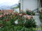 House BOR thumb 4