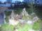 House Blankenburg thumb 4