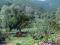 Family hotel Pastuh thumb 6