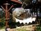 House Vishneva gradi thumb 2