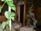 House Starata loza thumb 3