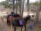 House Starata loza thumb 7