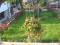 House Avangard thumb 1