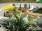 Family hotel Villa Dima thumb 2