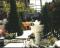 Family hotel Merita thumb 1