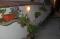 House Simon thumb 8