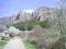 House Stefi thumb 6