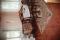 Apartment APARTAMENT STOIKOVI thumb 4