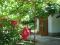 Family hotel Villa Peonia thumb 5