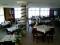 Hotel HOTEL HASHOVE thumb 4