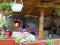 Family hotel Mileni i Desi R thumb 5