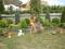 Apartment Green Paradise thumb 8