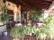 Family hotel Boruna thumb 7