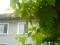 House Venera Hissarya 5