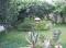 Family hotel Soley thumb 3