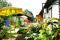 Bungalow Valya thumb 1
