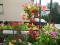 Family hotel Maria Primorsko 6