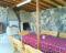 House Raiska tishina thumb 2